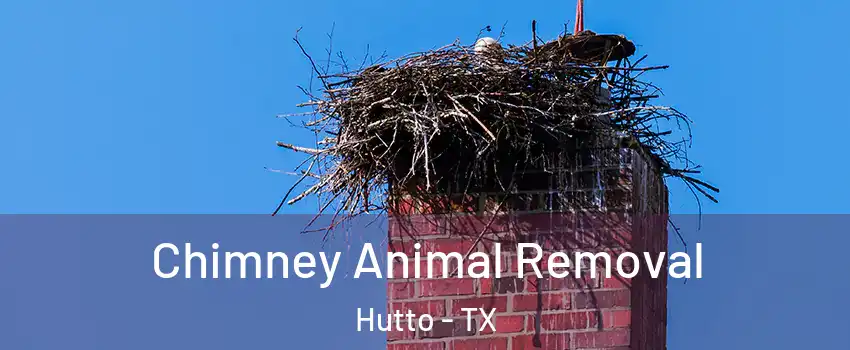  Chimney Animal Removal Hutto - TX