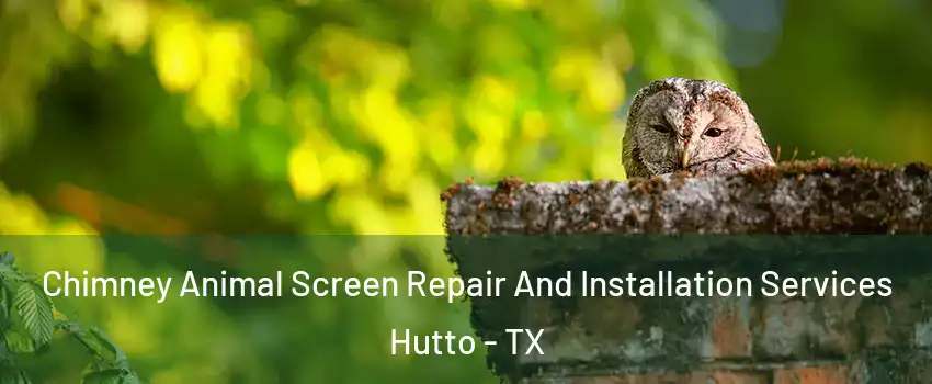  Chimney Animal Screen Repair And Installation Services Hutto - TX