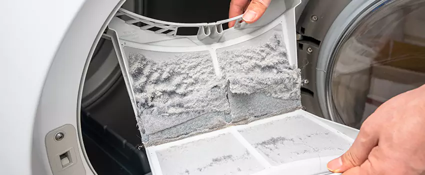 Best Dryer Lint Removal Company in Hutto, Texas