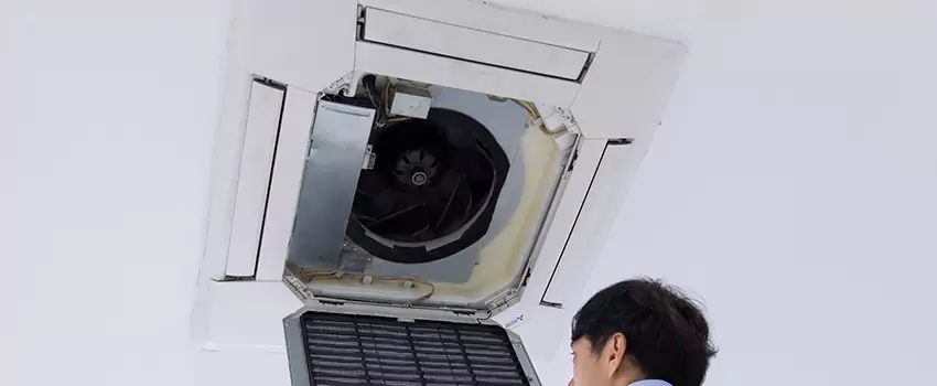 Benefits of Professional Air Duct Cleaning in Hutto, Texas